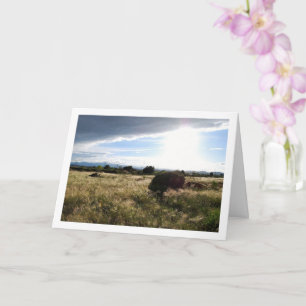 Country Sunrise Landscape Card