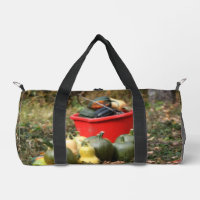 Country Vegetable Garden Squash