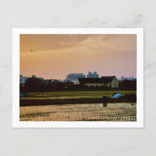 country vibe sunset Spring Postcard