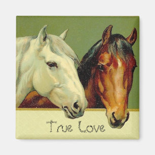 Country Vintage Horses True Love Fridge Magnet