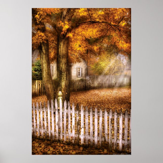 Country - White Picket Fence Poster (Front)