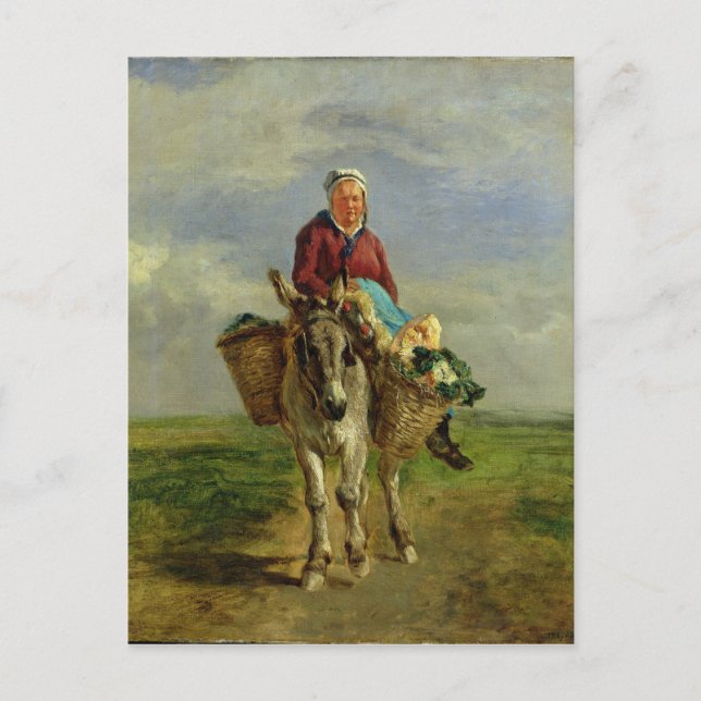 Country Woman Riding a Donkey Postcard (Front)