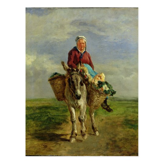 Country Woman Riding a Donkey Postcard