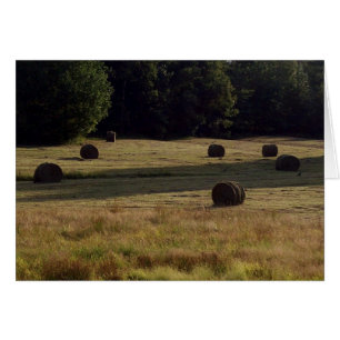 Countryside Bails of Hay