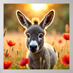 Countryside donkey curious eyes peaceful art poster