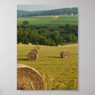 Countryside Hay Bales Poster