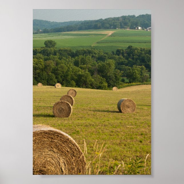 Countryside Hay Bales Poster (Front)