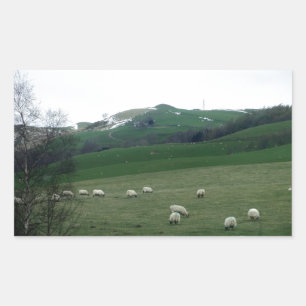 Countryside in Scotland Rectangular Sticker