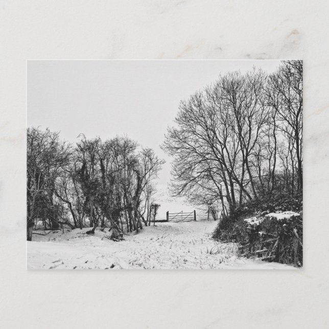 Countryside in the Snow Postcard (Front)