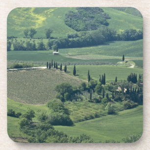 Countryside near Montepulciano, Val d'Orcia, Coaster