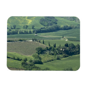 Countryside near Montepulciano, Val d'Orcia, Magnet
