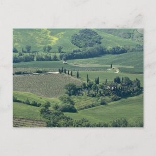 Countryside near Montepulciano, Val d'Orcia, Postcard