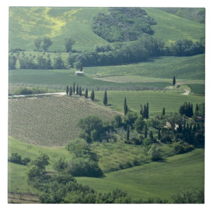 Countryside near Montepulciano, Val d'Orcia, Tile