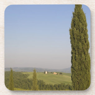 Countryside near Pienza. Val d'Orcia, Siena Coaster