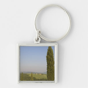 Countryside near Pienza. Val d'Orcia, Siena Key Ring