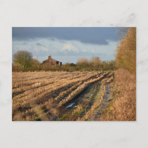 Countryside postcard