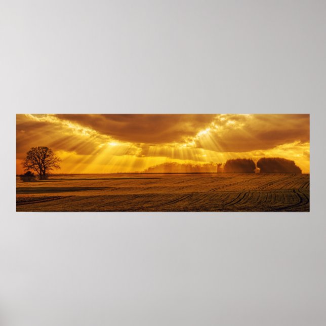 Countryside Sunset Panorama Poster (Front)