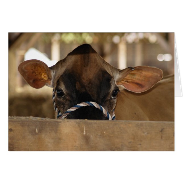 County Fair card (Front Horizontal)