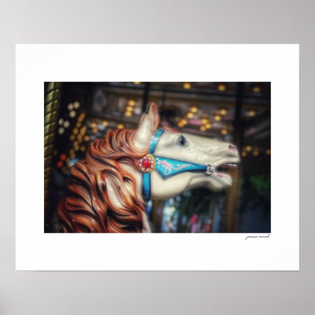 County Fair Carousel Poster Print (Front)
