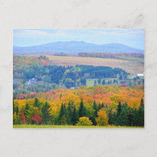 County Farmland Postcard