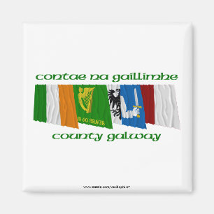County Galway Flags Magnet