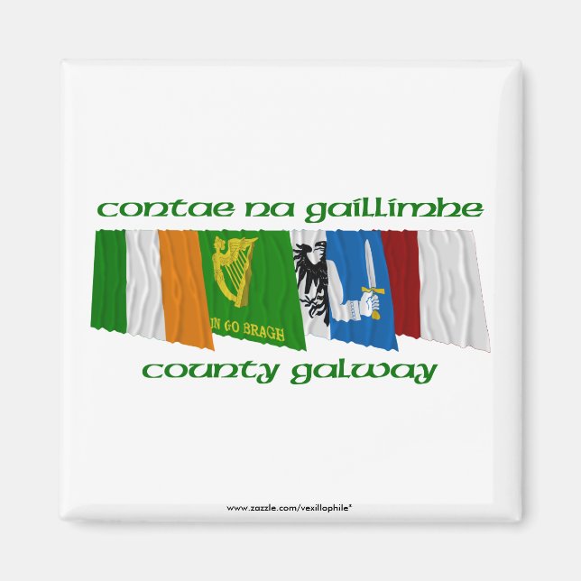 County Galway Flags Magnet (Front)