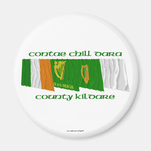 County Kildare Flags Magnet