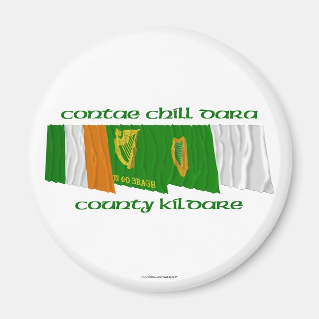 County Kildare Flags Magnet (Front)