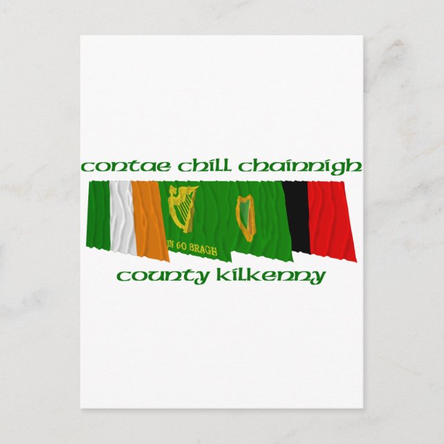 County Kilkenny Flags Postcard (Front)