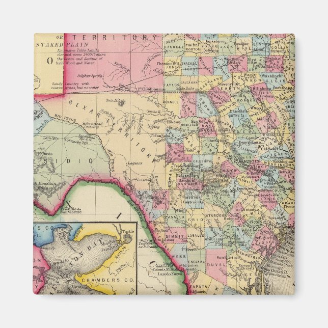 County Map Of Texas Magnet (Front)