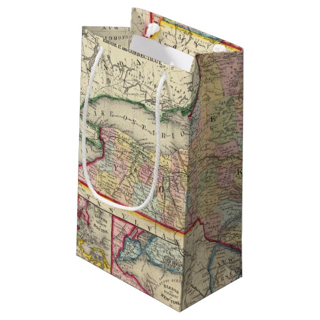 County Map Of The States Of New York Small Gift Bag (Back Angled)
