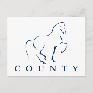 COUNTY SADDLERY DRESSAGE POSTCARD