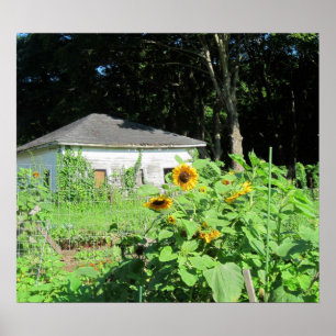 Countyr Garden Poster