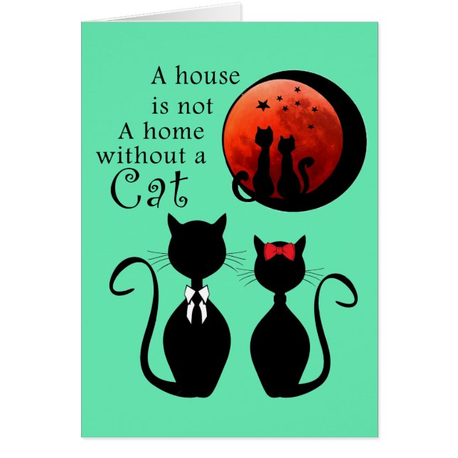 Couple Cats in the home (Front)