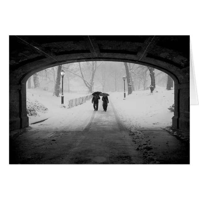 Couple in Snowstorm, Central Park (Front Horizontal)