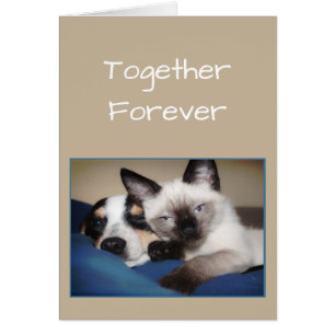 Couple Love FOREVER OR Fur-ever Dog & Cat Humour
