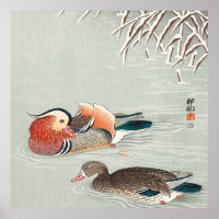 Couple Mandarin Duck Design | Ideal Gift  