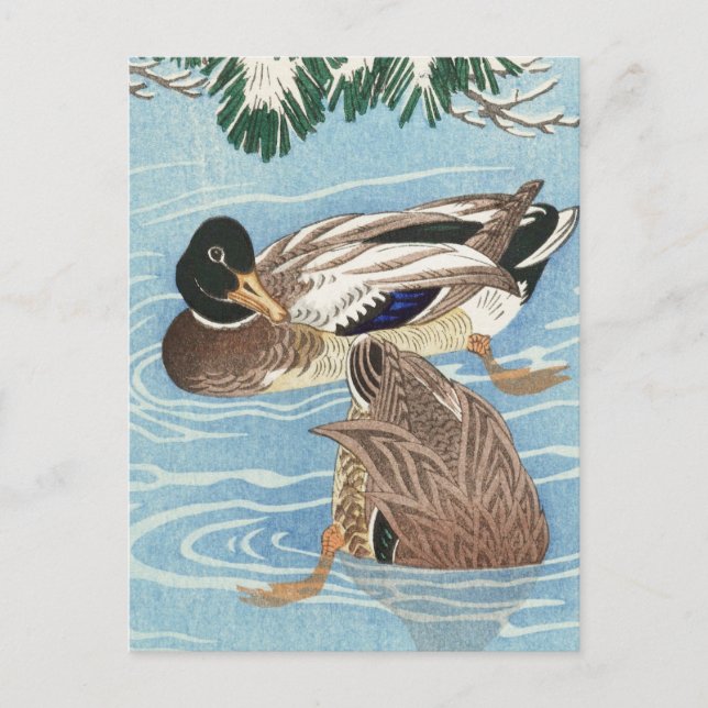 Couple of Ducks in the Qater by Ohara Koson Postcard (Front)