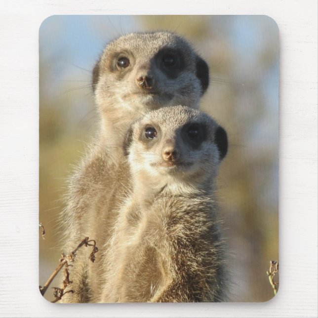 Couple of Meerkats Cute Photo Mouse Pad (Front)