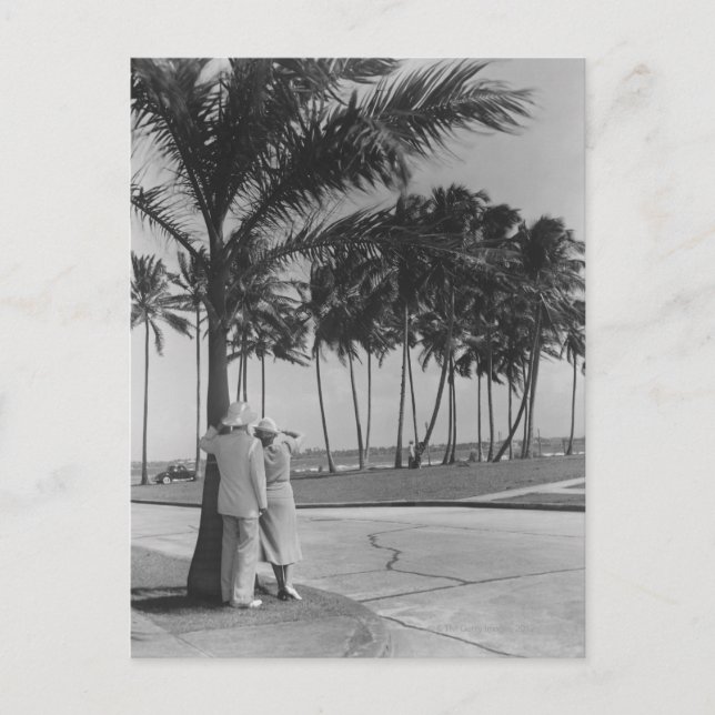 Couple Standing Under Tree Postcard (Front)