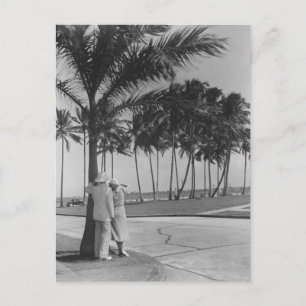 Couple Standing Under Tree Postcard