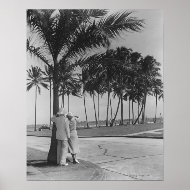 Couple Standing Under Tree Poster (Front)