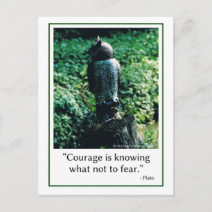 Courage in Everything Postcard