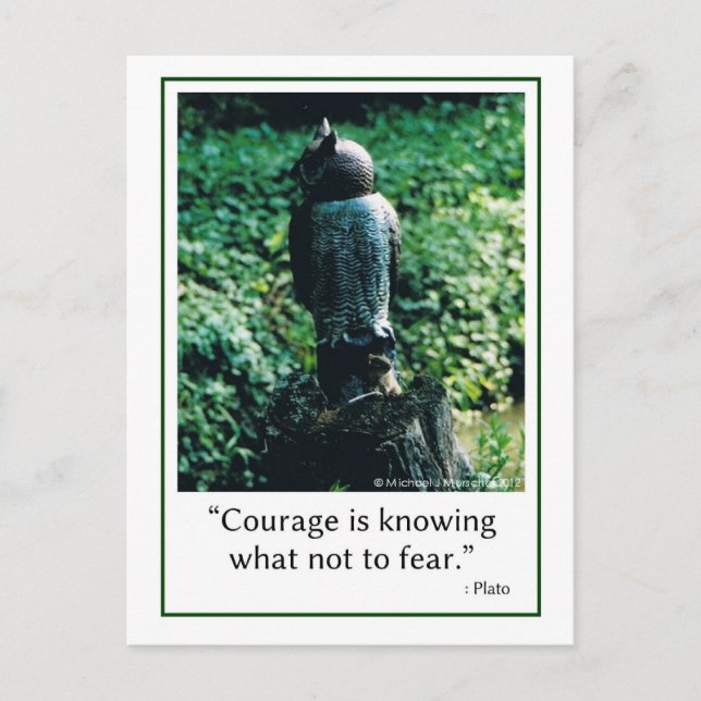 Courage in Everything Postcard (Front)