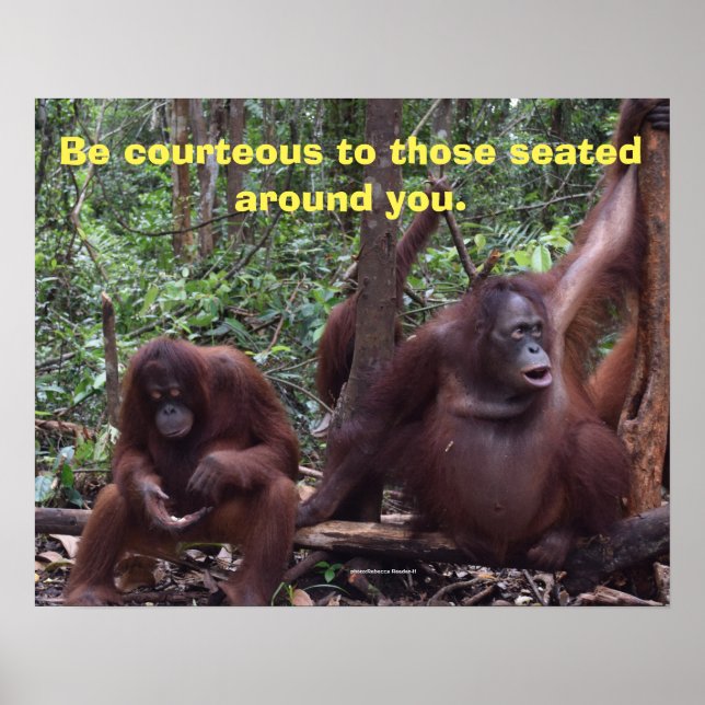 Courtesy in the Classroom Poster (Front)