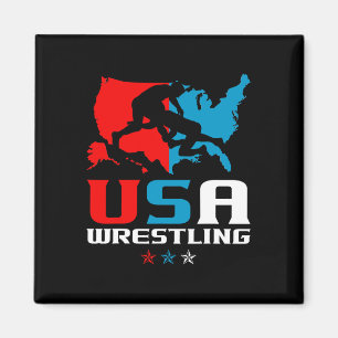 Courtesy Of Red White Blue Usa Flag Fighter Jets 4 Magnet