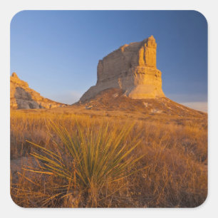 Courthouse and Jailhouse Rock near Bridgeport Square Sticker