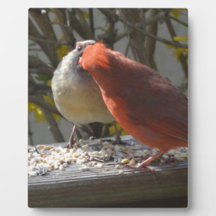 Courtin' Cardinals Plaque