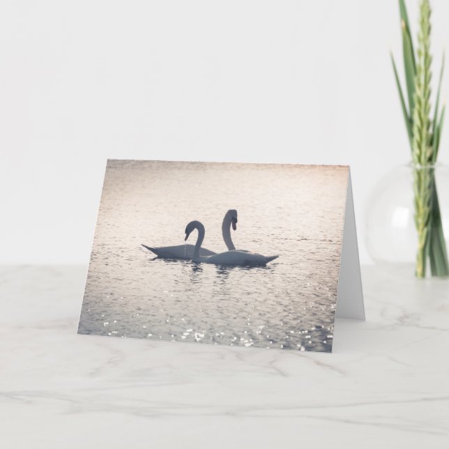 Courting Swans Card (Front)