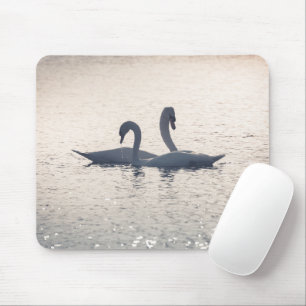 Courting Swans Mouse Pad